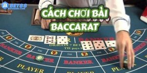 Trải nghiệm cách chơi Baccarat với tỷ lệ thắng cao